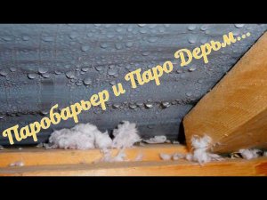 Паробарьер и Паро Дерьм...