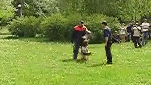 Джако дк Витас мутпроба смотреть онлайн