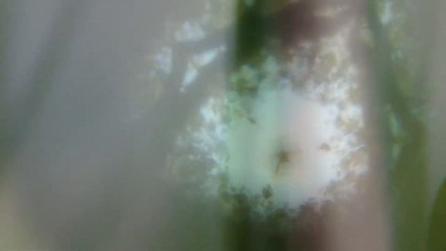 Рисую камерой (заставка для курса) смотреть онлайн