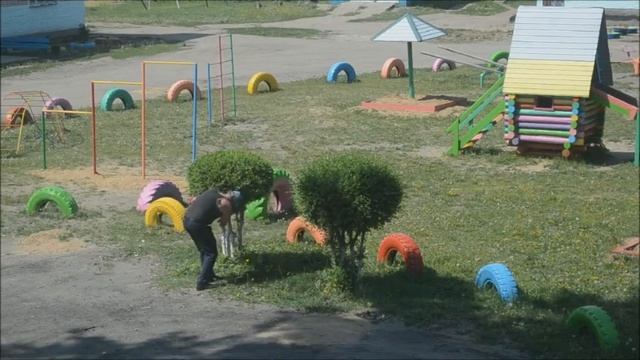 Карагач подстрижка смотреть онлайн