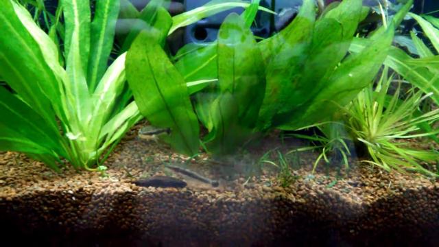 Нас снимают надо бежать смотреть онлайн