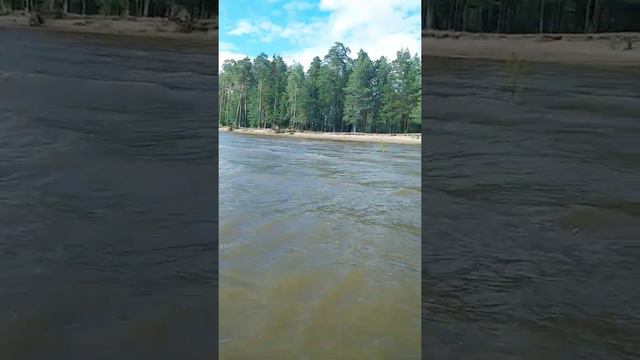 Посёлок Орел, пляж Лужки смотреть онлайн