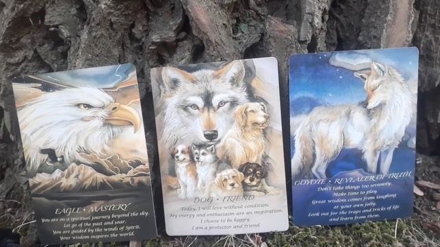 ????? SPIRIT of the Animals Oracle ??♀️ Collective Message for all signs ??????♂️? смотреть онлайн