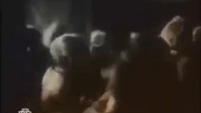 История чеченца который воевал ВОВ смотреть онлайн
