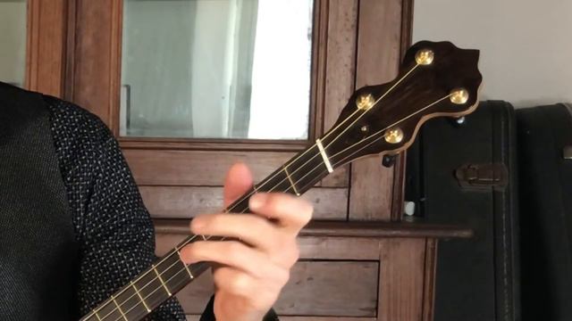 Irish Tenor fan fret banjo смотреть онлайн