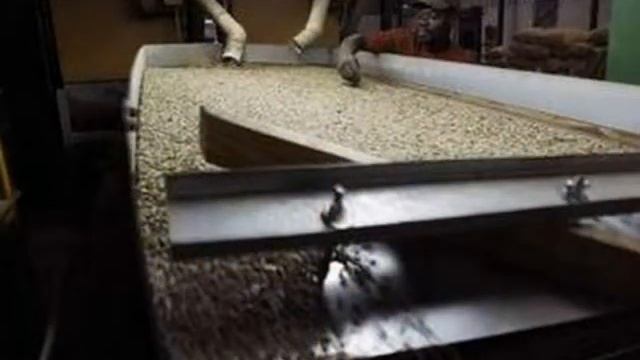 Dominican Coffee смотреть онлайн