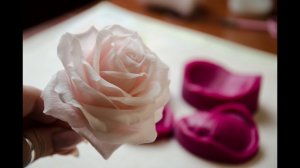 Роза Аваланж в процессе