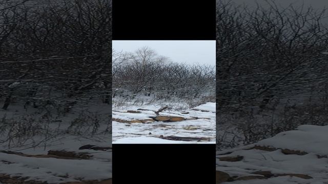 2023-03-14 смотреть онлайн