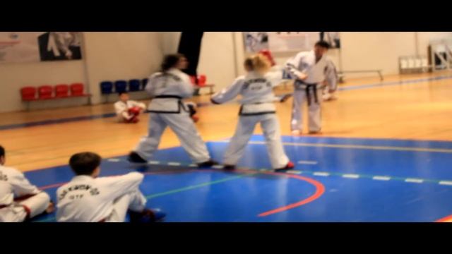 ТЕХНИЧЕСКИЙ СЕМИНАР под руководством А.В. Чиканчи | 30 - 03 НОЯБРЯ 2015 г. смотреть онлайн