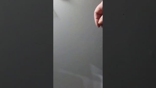 Распаковка Pindoodoo смотреть онлайн