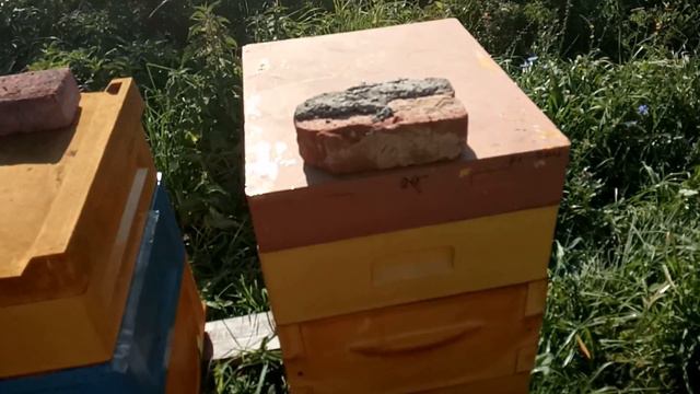 Подготовка к зимовке/Начало смотреть онлайн