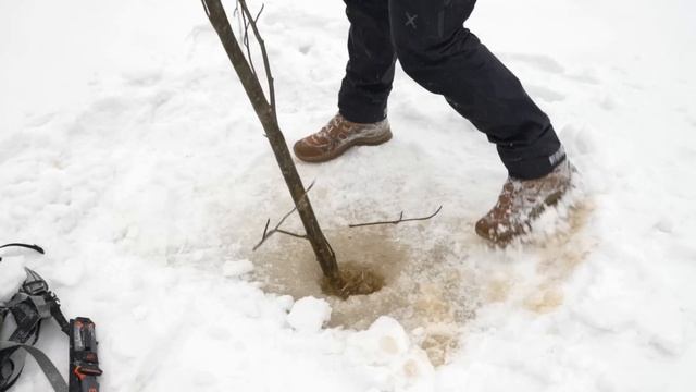 ЭКСТРЕМАЛЬНОЕ ВЫЖИВАНИЕ за 0 РУБЛЕЙ в ЗИМНЕМ ЛЕСУ (без ничего) смотреть онлайн