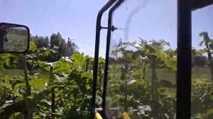 Покос борщевика роторной косилкой.