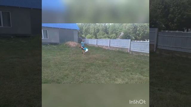 тренировки летом смотреть онлайн