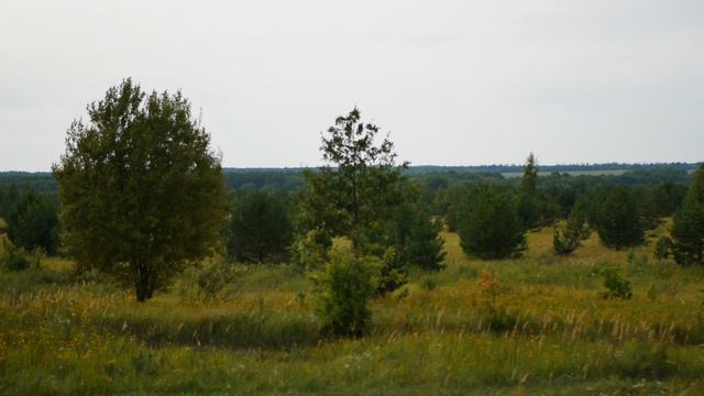 P1000654 смотреть онлайн