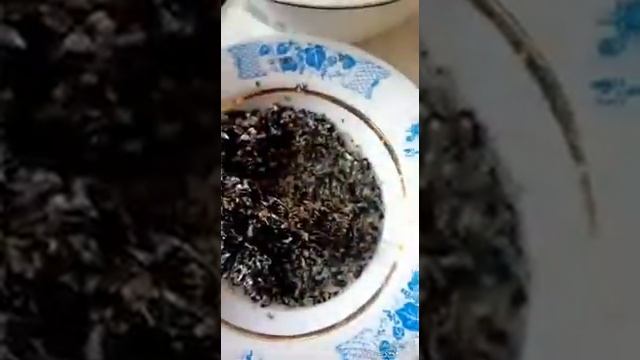 Очистка семечек подсолнуха на кофемолке за 5 минут!!! смотреть онлайн
