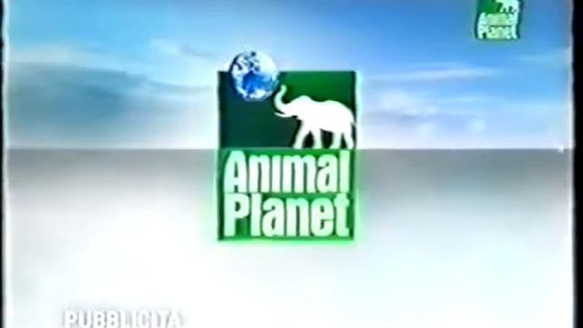 ID Publicitario Animal Planet (2007)