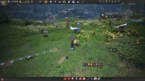 Вечная Банка МП БДО Black Desert 2023