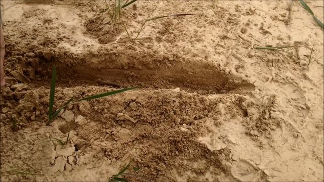 Инженерная подготовка Рысь НН 2019 Окопы, лисья нора смотреть онлайн