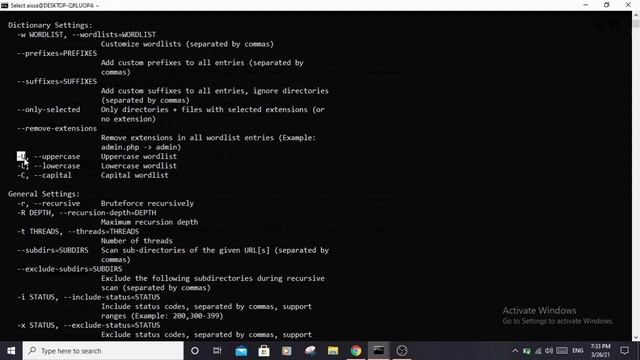 scan websites for hidden files and endpoint APIs with dirsearch смотреть онлайн