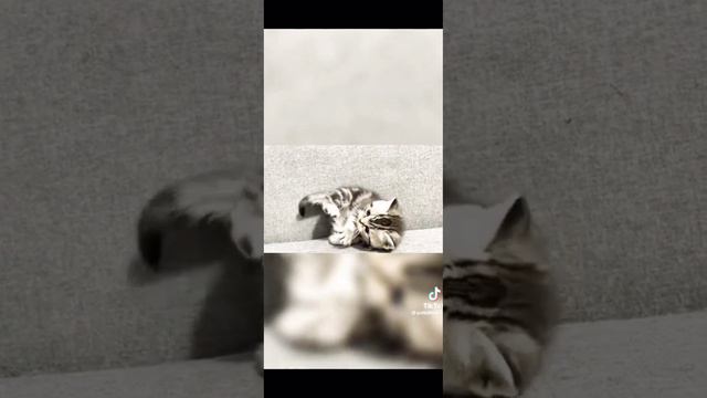 саблиминал на высокий рост! саблиминал на рост 170 см! ꒰⑅ᵕ༚ᵕ꒱˖♡