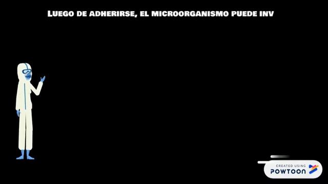 Enterococcus faecalis. смотреть онлайн