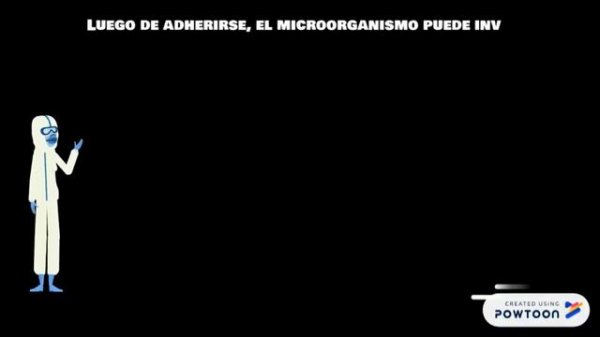 Enterococcus faecalis.