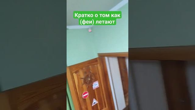 кратко о там ка летают(феи)