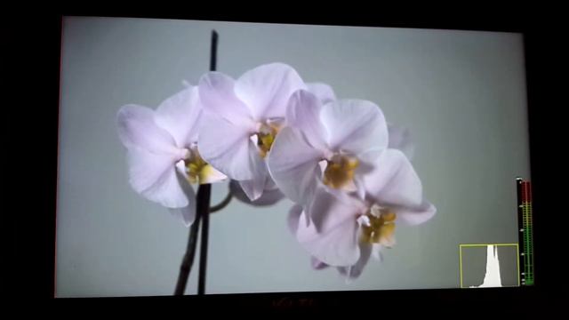 Viltrox DC-55HD 4K Professional DSLR HDMI Monitor смотреть онлайн
