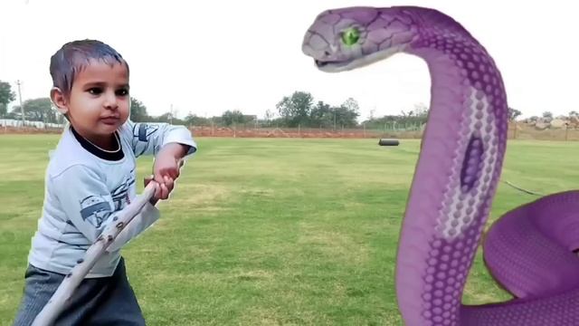 Strange Cobras attacked a cute baby || snake video || snake movie смотреть онлайн
