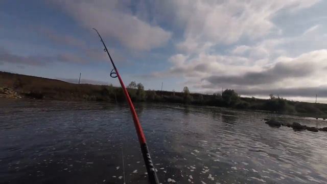 Щука наступает! Попытки поймать "белого" хищника. смотреть онлайн