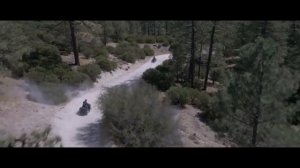 Квадроцикл WELS ATV300