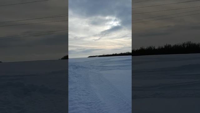 Тайга варяг 500 снегоход смотреть онлайн