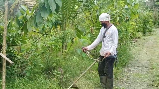 #atonibay #kinabuhingpobre NAG GRASS CUTTER KO смотреть онлайн
