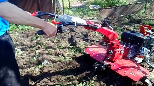 Мотоблок Weima 1100 D на газу Motoblock of Weima 1100 D on to gas смотреть онлайн