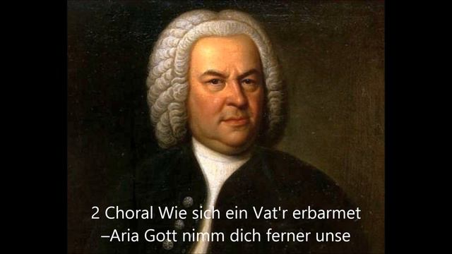BWV225 Motet Singet dem Herrn ein neues Lied Herreweghe 2011 смотреть онлайн