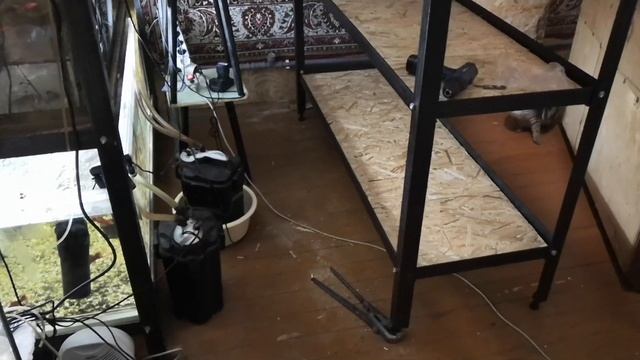 Разбил аквариум. Новая стойка смотреть онлайн