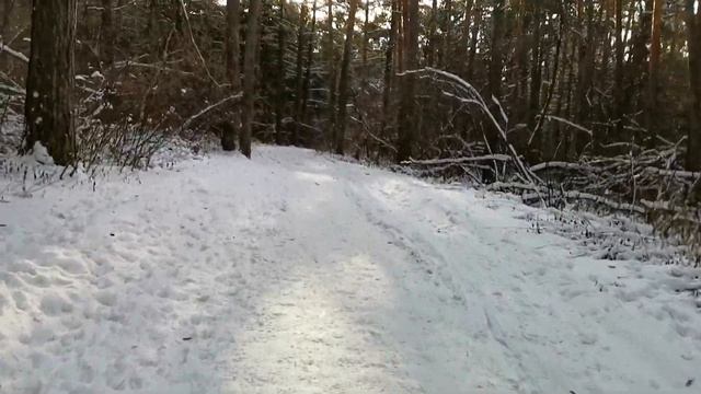 Сделал анализ своей крови после бега смотреть онлайн