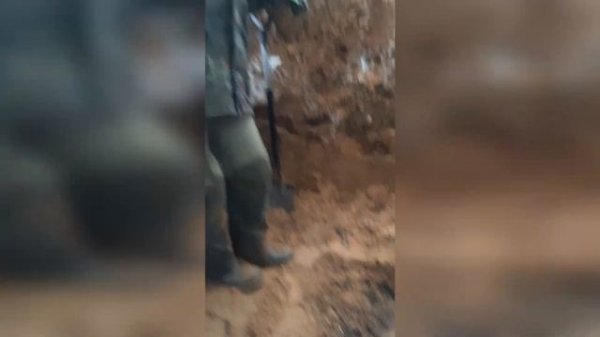 Лес продолжает отдавать находки / the forest continues to give finds