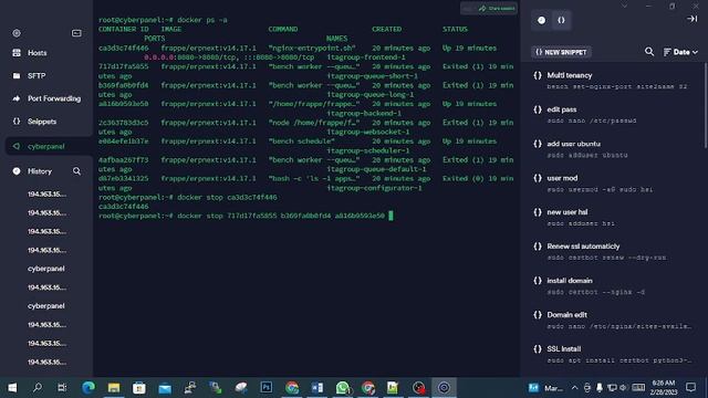 How to Stop Docker Containers in Terminal смотреть онлайн
