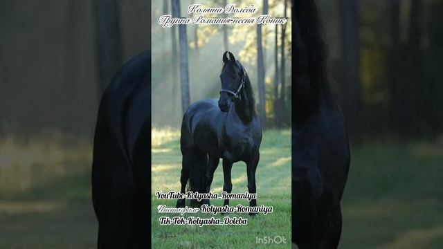 Коляша Долёба Группа Романия-Коник смотреть онлайн