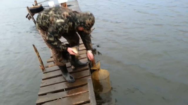 Рыбалка на пруду Семидесятное 16 апреля 2016 года