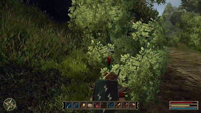 Let's Play Gothic 3 [Ger/1080p] 044 - Gorn steckt in Schwierigkeiten смотреть онлайн