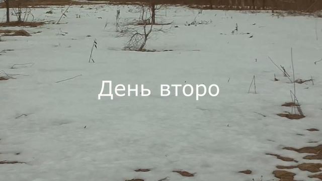 БИНГО ? Серебро Елизаветы Петровны. Урочище оказалось сказкой. смотреть онлайн