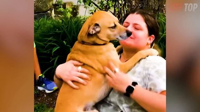 Попробуй НЕ ЗАПЛАКАТЬ! ? Топ 30 Моментов Встречи Животных с Хозяевами После Долгой Разлуки №7 смотреть онлайн