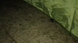 Пеший ПВД / Коккорево / Ладога / Обзор палатки OUTVENTURE DOME 2