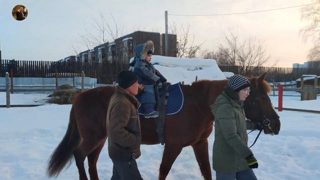 КРАСНООБСКИЙ ЦЕНТР ИППОТЕРАПИИ И СПОРТИВНО-ОЗДОРОВИТЕЛЬНОЙ ВЕРХОВОЙ ЕЗДЫ смотреть онлайн