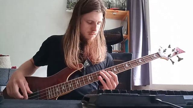 Homo Sapiens (YUP) - Bass Cover смотреть онлайн