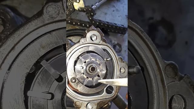 Елена Ваулина