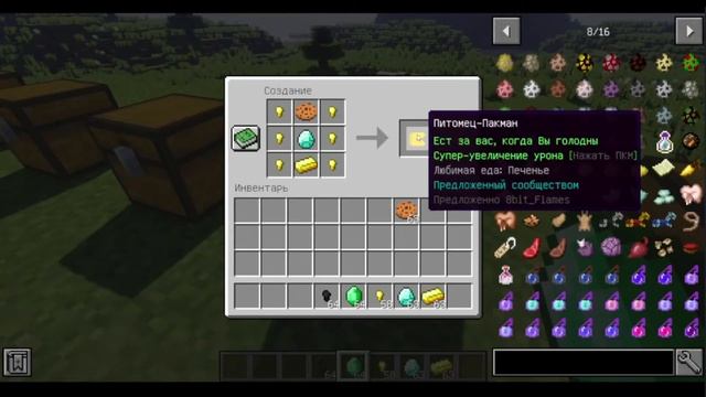 Inventory Pets 1.12.2 Гайд смотреть онлайн